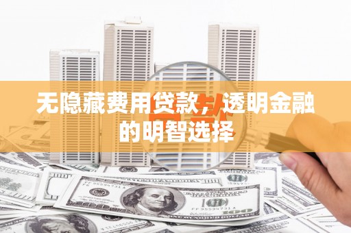 黔东南无隐藏费用贷款，透明金融的明智选择