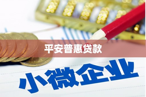 黔东南平安普惠贷款