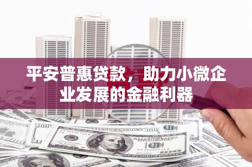 黔东南平安普惠贷款，助力小微企业发展的金融利器