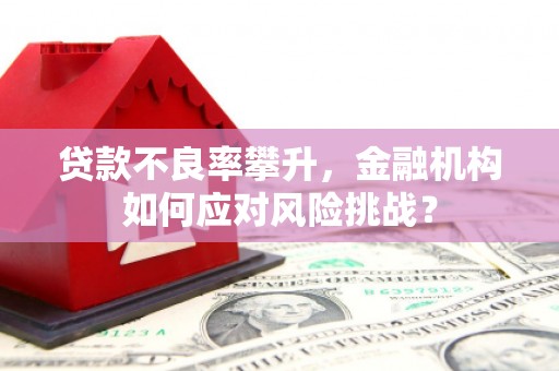 黔东南贷款不良率攀升，金融机构如何应对风险挑战？