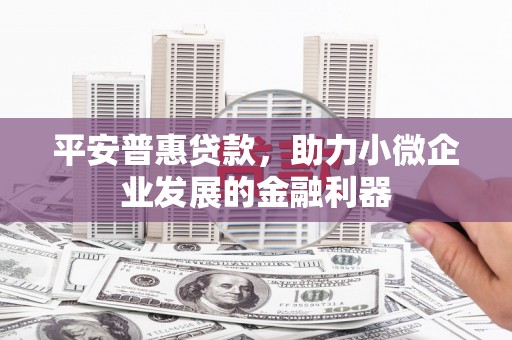 黔东南平安普惠贷款，助力小微企业发展的金融利器