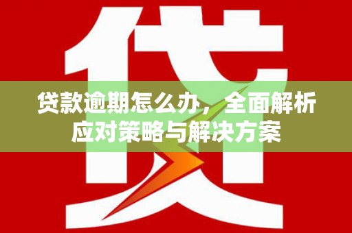 黔东南贷款逾期怎么办，全面解析应对策略与解决方案