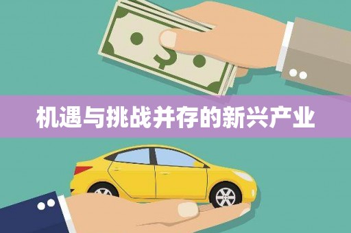 黔东南机遇与挑战并存的新兴产业
