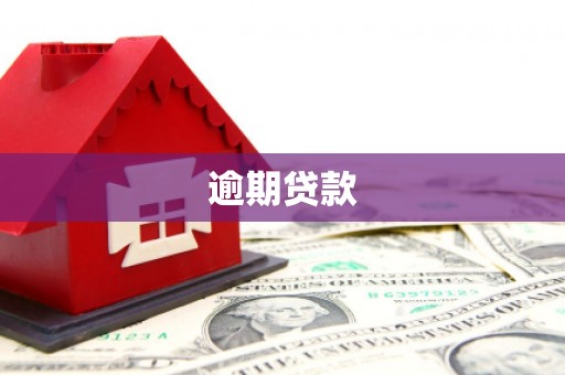 黔东南逾期贷款