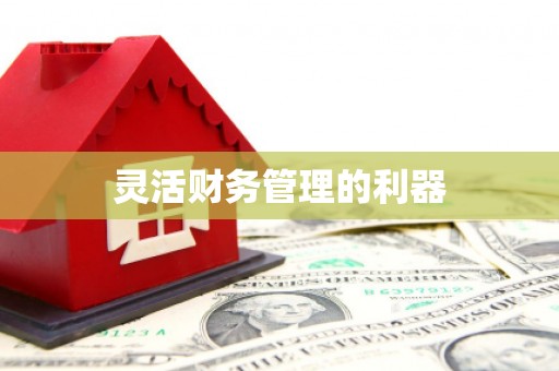 黔东南灵活财务管理的利器