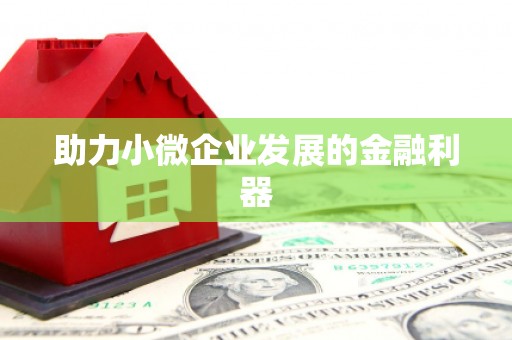 黔东南助力小微企业发展的金融利器