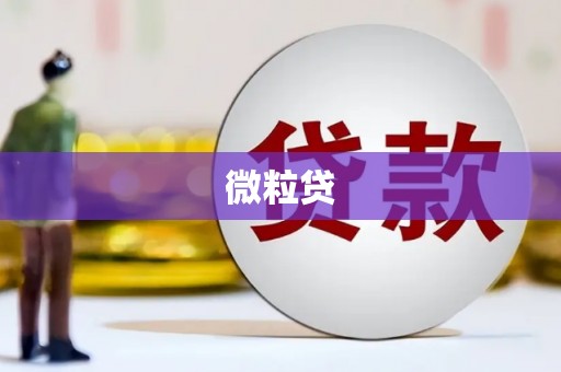 黔东南微粒贷