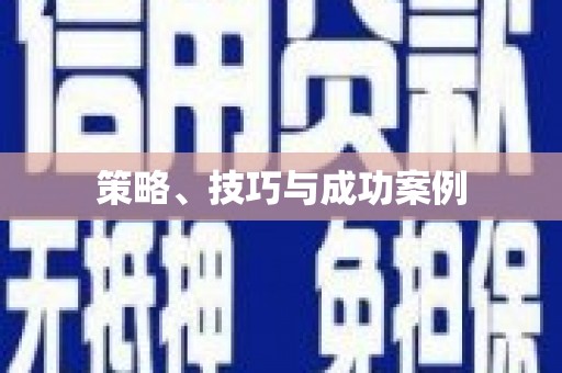 黔东南策略、技巧与成功案例