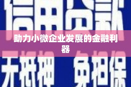 黔东南助力小微企业发展的金融利器