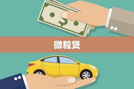 黔东南微粒贷