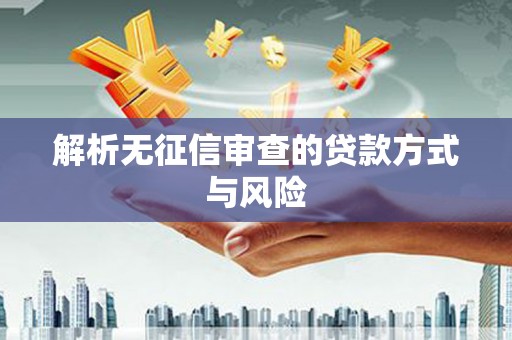 黔东南解析无征信审查的贷款方式与风险