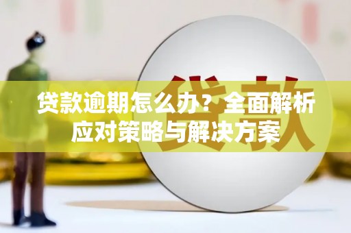 黔东南贷款逾期怎么办？全面解析应对策略与解决方案