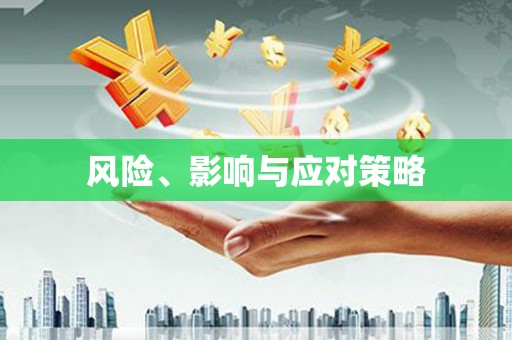 黔东南风险、影响与应对策略