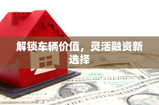 黔东南解锁车辆价值，灵活融资新选择
