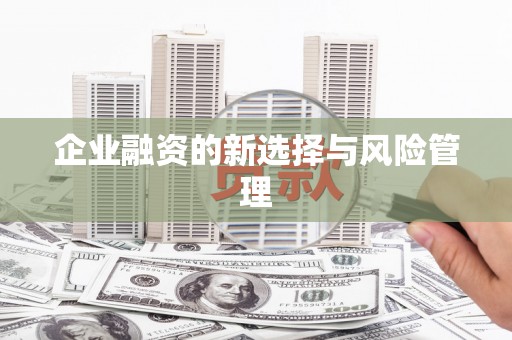 黔东南企业融资的新选择与风险管理