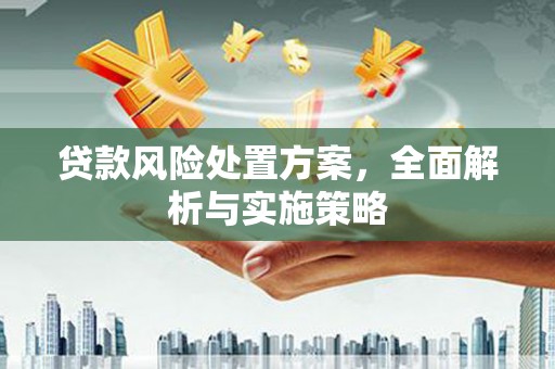 黔东南贷款风险处置方案，全面解析与实施策略