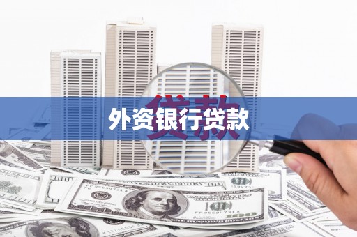 黔东南外资银行贷款