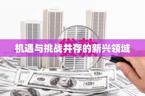 黔东南机遇与挑战并存的新兴领域