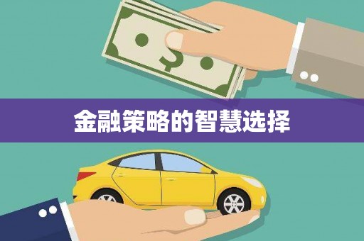 黔东南金融策略的智慧选择