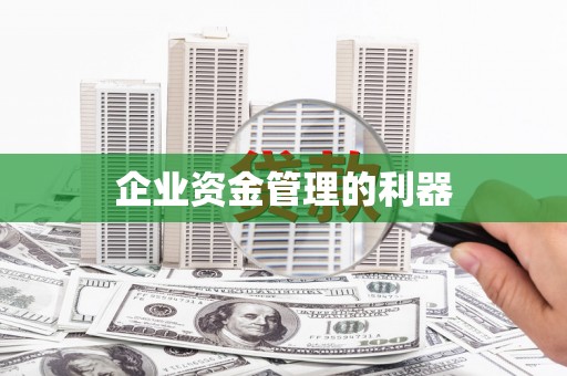 黔东南企业资金管理的利器