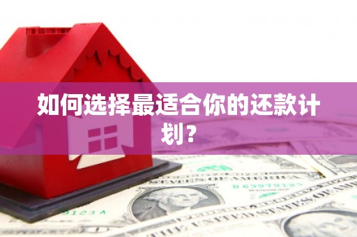 黔东南如何选择最适合你的还款计划？