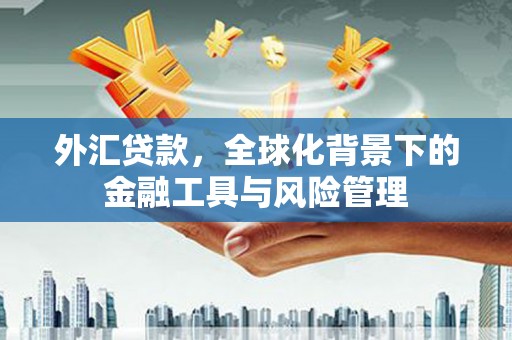 黔东南外汇贷款，全球化背景下的金融工具与风险管理